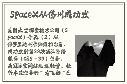 网站你懂我意思吧2019免费